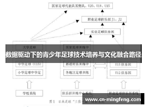 数据驱动下的青少年足球技术培养与文化融合路径