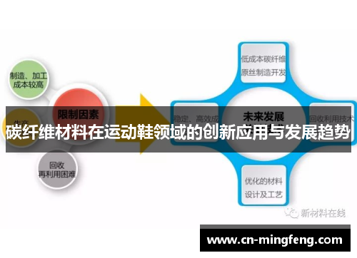 碳纤维材料在运动鞋领域的创新应用与发展趋势