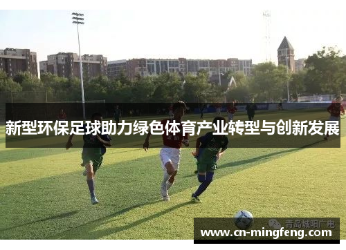 新型环保足球助力绿色体育产业转型与创新发展