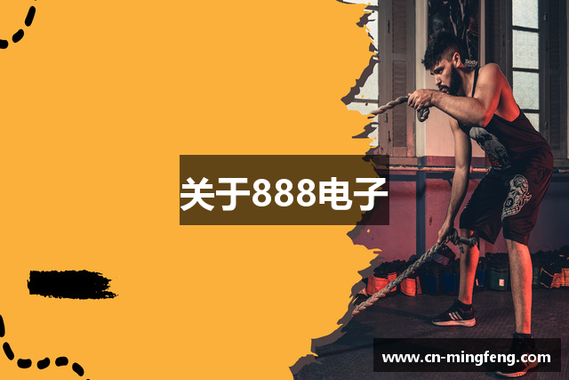 关于888电子